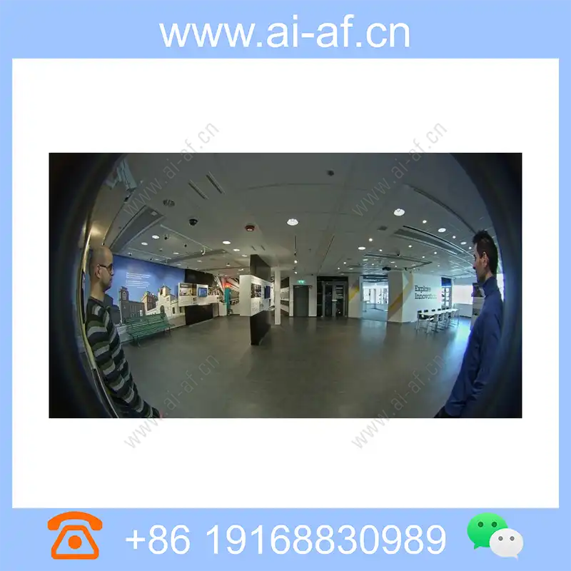 安讯士 AXIS F1035-E 标准传感器单元鱼眼镜头 2MP 室外 0737-001 0736-009 0737-009 0736-001
