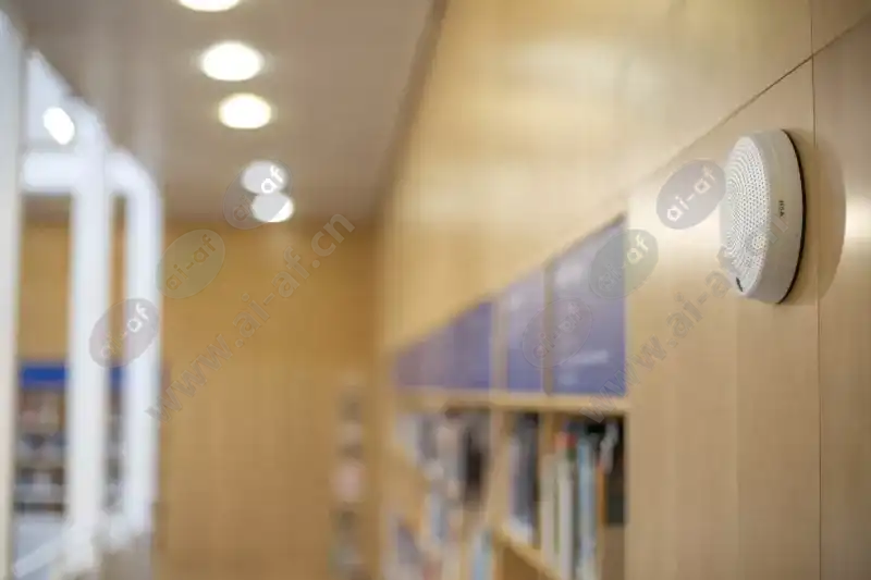 c1410_library_corridor_2204_hi-3-2Mediawithtext.jpg.webp