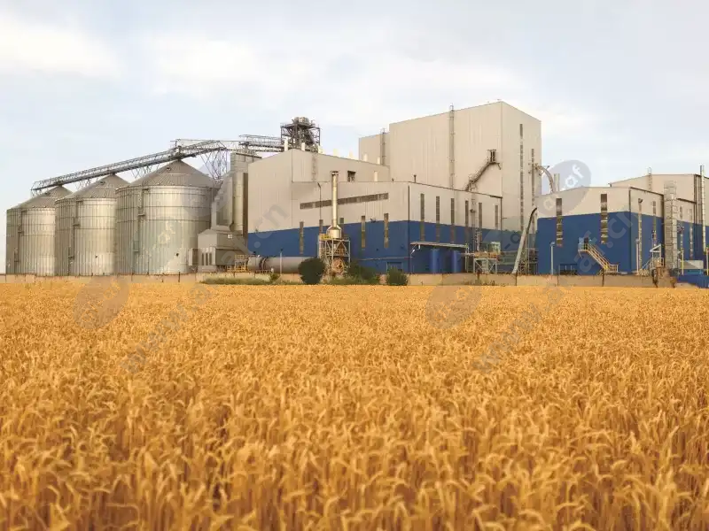 grain_elevator_silos_wheat_field_2008_hi-4-3Mediawithtext.jpg.webp