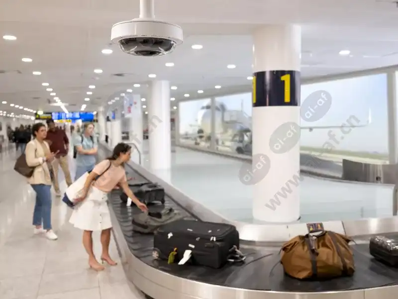 p3727ple_baggage_claim_airport_2310_hi-4-3Mediawithtext.jpg.webp