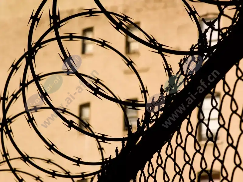 prison_fence_barbed_wire_closeup_2008_2600x1950.jpg.webp