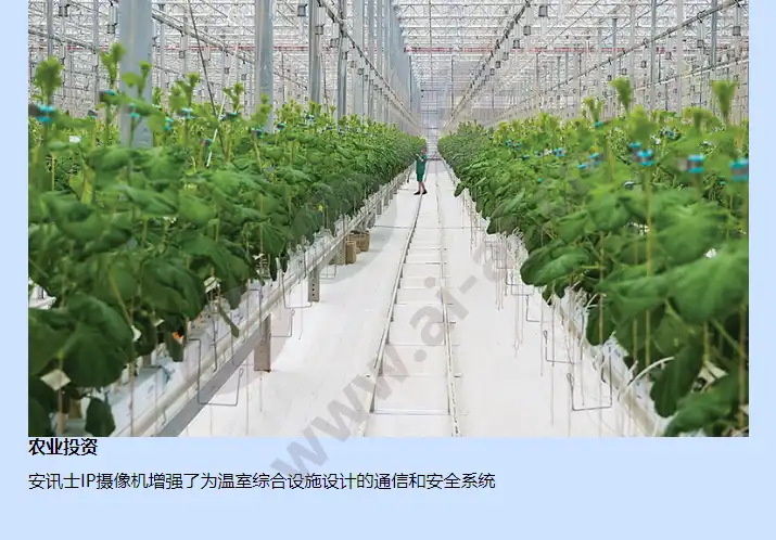 axis-p5534_f_cn-02.webp