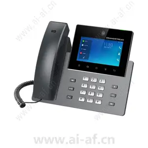 AXIS 2N Grandstream GXV-3350 VoIP 02240-001