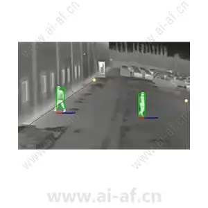 安讯士 AXIS 徘徊防护（用于检测徘徊者）