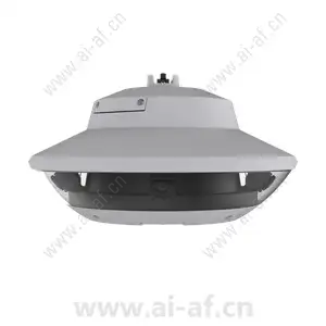 AXIS Multidirectional Panoramic Camera with PTZ Overview