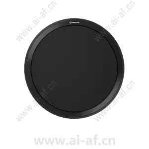 三星韩华 Samsung Hanwha SPA-C110B IP 吸顶音箱