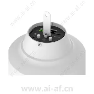三星韩华 Samsung Hanwha SPA-P100W IP 吊坠扬声器