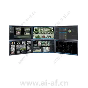 Pelco E1-MGW-SVRP Media Gateway Server
