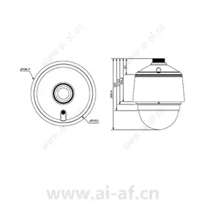 派尔高 Pelco IVS2DN20 iVIEW高清网络快球摄像机