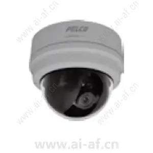派尔高 Pelco IWD10DV9 日夜高清防暴半球摄像机