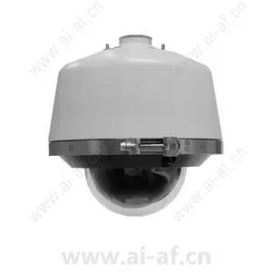派尔高 Pelco LD53PR-1 带透明球罩的加压 Spectra 下半球