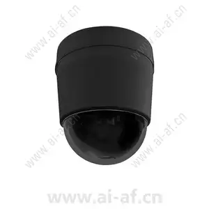 派尔高 Pelco LD53SMB-0 下半球表面安装黑色 烟色半球