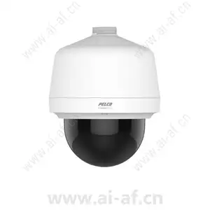 Pelco P1220-PWH1 2 MP Network Pendant Indoor Dome Camera
