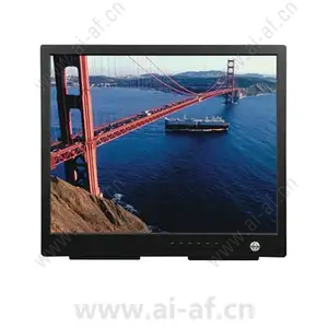 Pelco PMCL219A 19 inch LCD Monitor - 5:4 - 5 ms