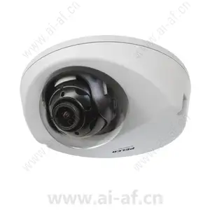 派尔高 Pelco S-IWP121-1ES-P 1 MP 网络室外半球摄像机