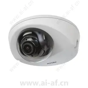 派尔高 Pelco S-IWP221-1ES-P 2 MP 网络室外半球摄像机