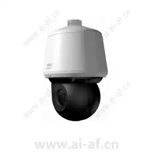 Pelco S-P2230-ESR-P 2 MP Network IR Outdoor PTZ Camera