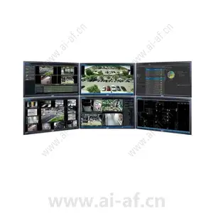 派尔高 Pelco U1-VXS-00 VideoXpert Ultimate VXS 无驱动器
