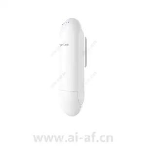 TP-LINK TL-CPE201 2.4GHz 300M室外无线CPE